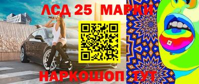 гашик Шелехов