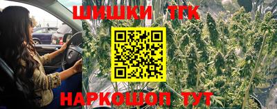гашик Шелехов