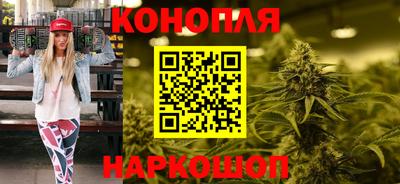 гашик Шелехов