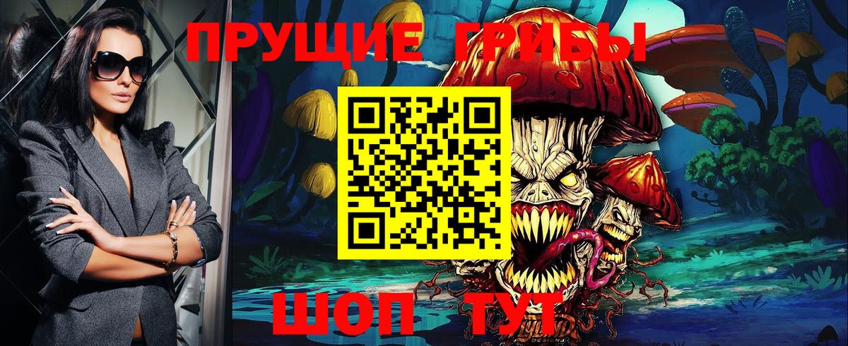 Псилоцибиновые грибы GOLDEN TEACHER Донецк