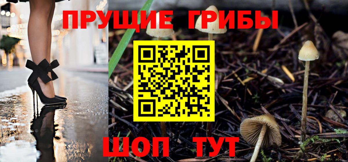 Донецк  Псилоцибиновые грибы прущие грибы  цены   Вход с VPN 